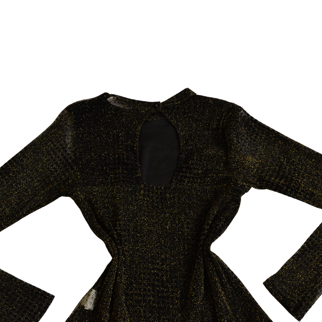 Bodysuit glitter mesh
