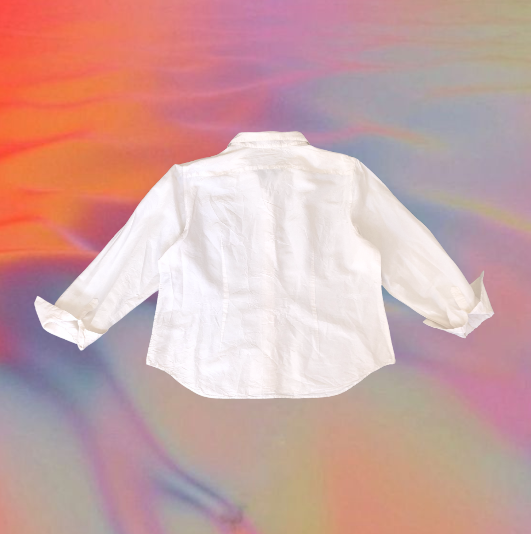 Camisa seda blanca